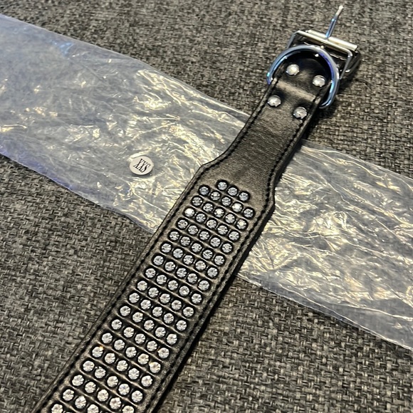 Give your Dog some BLING! - Picture 3 of 7